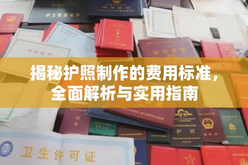 饶平揭秘护照制作的费用标准，全面解析与实用指南